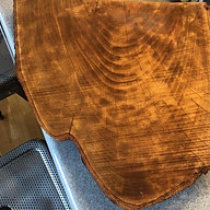 www.newenglandpine.com