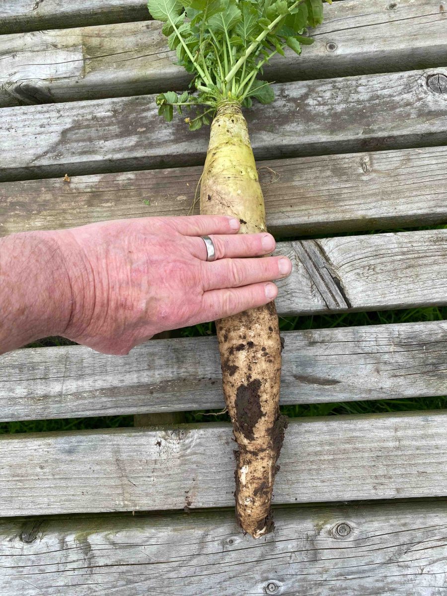 www.bitesizedgardening.co.uk